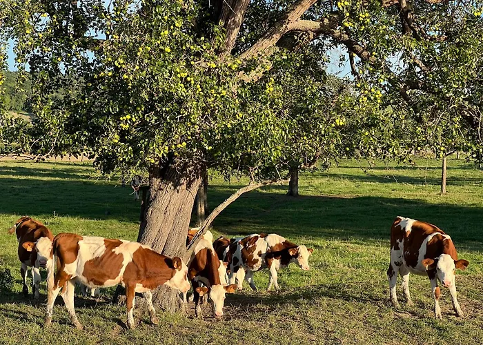 La Cascade Apartment Sahurs